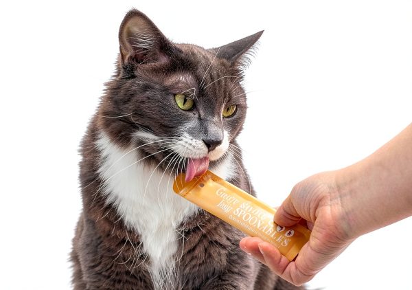 Spectrum Brands Cat Treats Savory Spoonables Wet Lickable-5