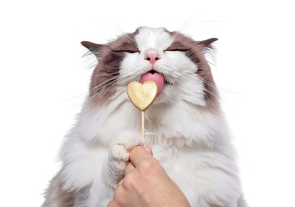 Bonkers Freeze Dried Tuna Cat Treats Lickable Purr Pops-1