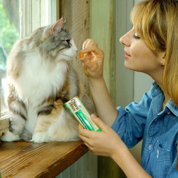 Inaba Cat Treats Soft Bites with Churu Filling for Cats-6