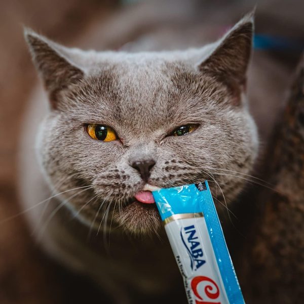 Inaba Churu Cat Treats Hydrating Lickable Tubes Variety-4