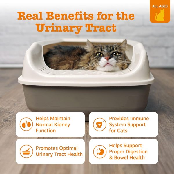 Zesty Paws Urinary Tract Cat Mousse Kidney Health Support-1