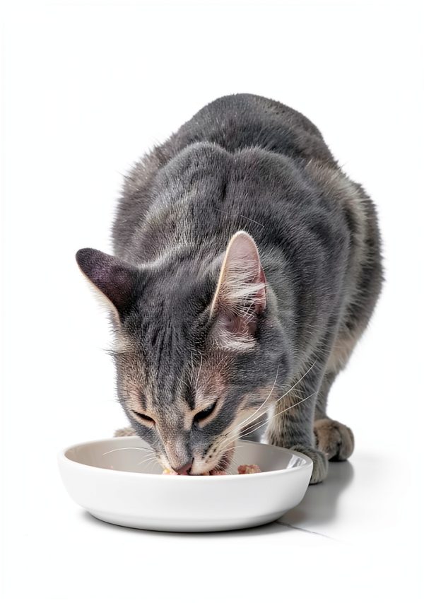 Blue Buffalo Tastefuls Mini Purées Cat Treats Topper Snack-9